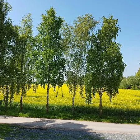 Ferienwohnanlage Majorcas