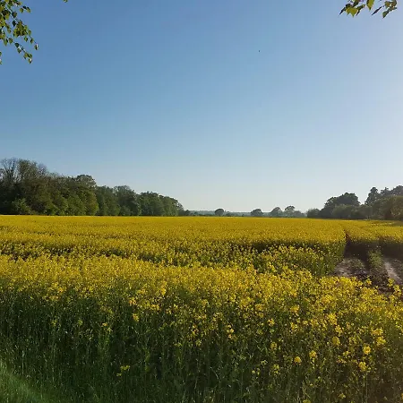 Pensjonat Ferienwohnanlage Majorcas Dahme (Schleswig-Holstein)