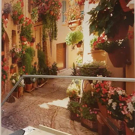 Ferienwohnanlage Majorcas Gasthof Dahme (Schleswig-Holstein)