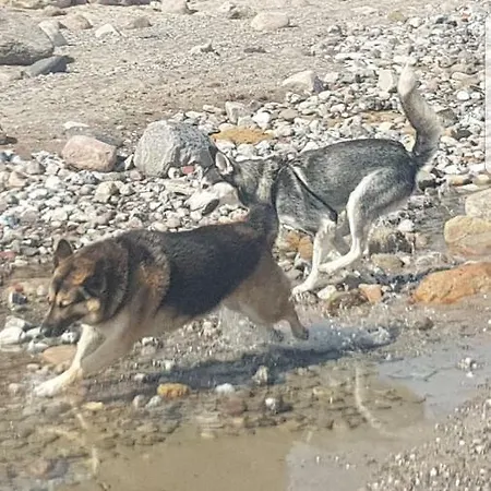 Ferienwohnanlage Majorcas Gasthof 4*