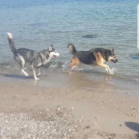 Ferienwohnanlage Majorcas Gasthof