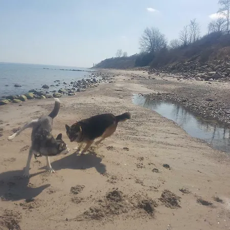 Ferienwohnanlage Majorcas 4* Dahme